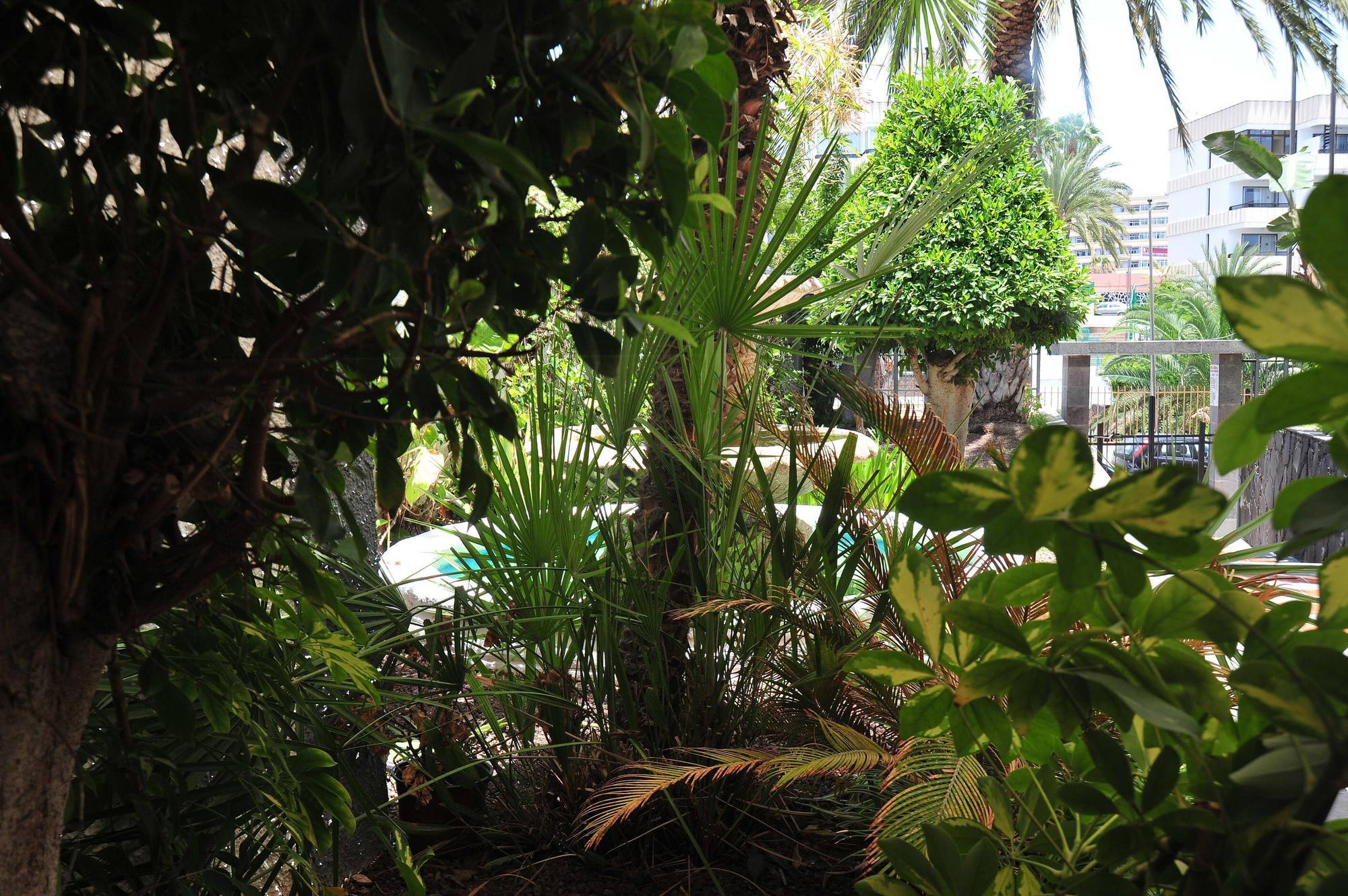 Appartement Tc Dorotea